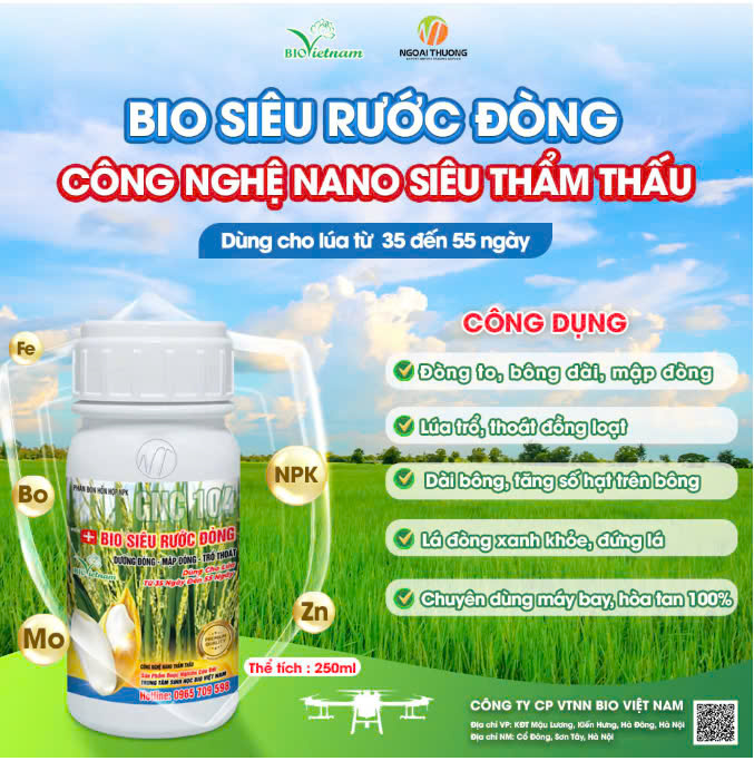 Bio Siêu Rước Đòng